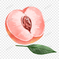 WWW,nnn15·COM网站APPAPP应用