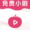 新版91客户端APP应用